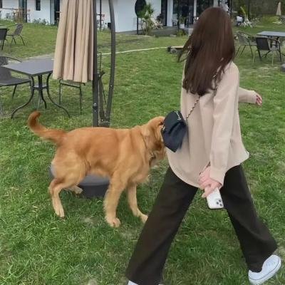 深渊鲨难